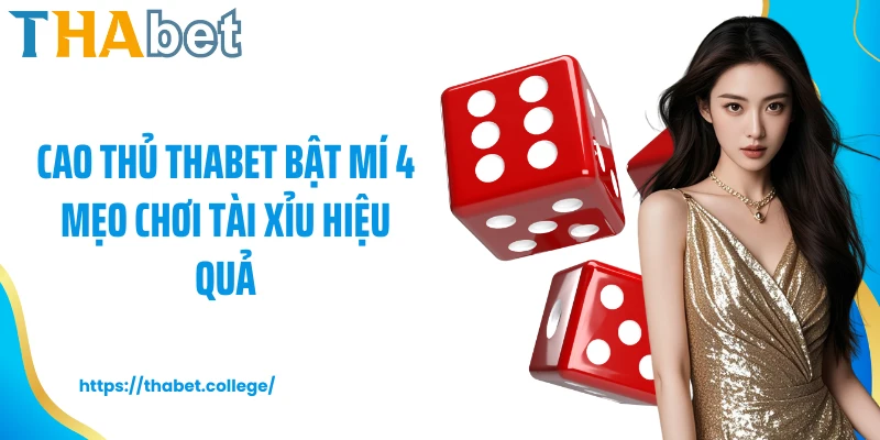Cao thủ Thabet bật mí 4 mẹo chơi tài xỉu hiệu quả
